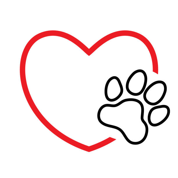 illustrazioni stock, clip art, cartoni animati e icone di tendenza di cuore con stampa zampa - pets white black nature