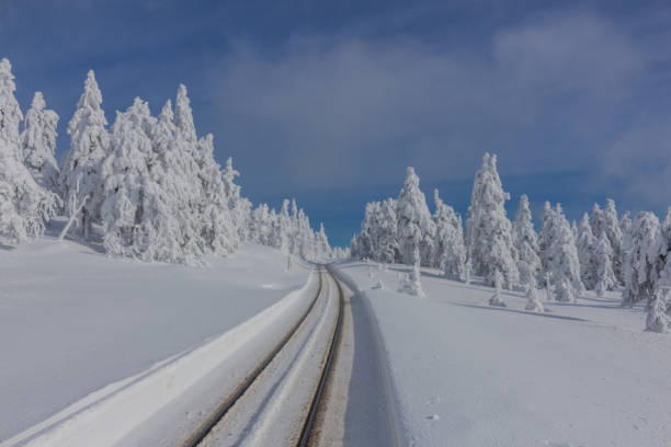 안녕히 dem weg 후 다이 아름 다운 winterlandschaft 메신저 하르츠 - eisenbahn 뉴스 사진 이미지