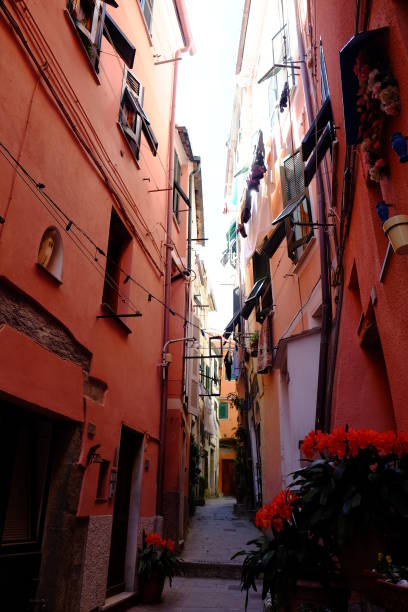 istock Alleyways in Italy 1128095690