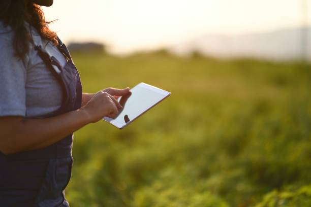 istock Young female farmer with digital tablet 1128096681