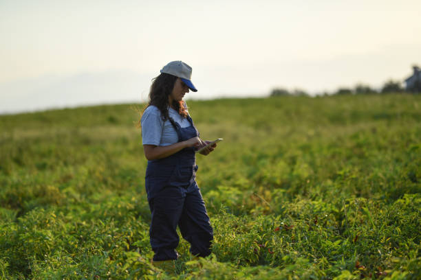 istock Young female farmer with digital tablet 1128096941