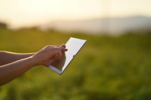 istock Young female farmer with digital tablet 1128096979