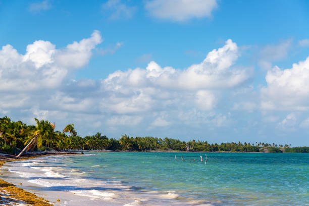istock Tropical Beach in Punta Allen 1128097040