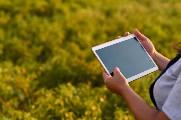 istock Young female farmer with digital tablet close-up 1128097216
