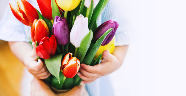 istock Beautiful tulips in child hands. 1128097850