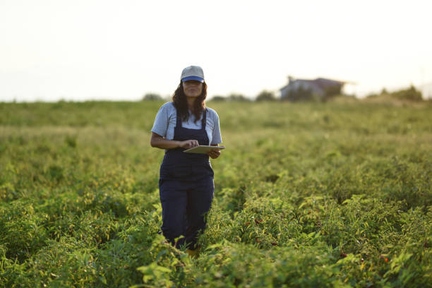 istock Young female farmer with digital tablet 1128098373