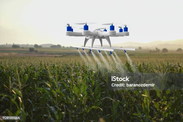 Drone Spraying A Field Stock Photo - Download Image Now - Drone, Agriculture, Drone Point of View