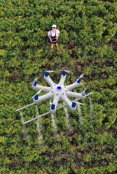 istock Young female farmer spraying her crops using a drone 1128101166