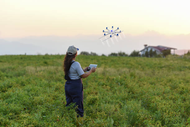 Young female farmer spraying her crops using a drone Young female farmer spraying her crops using a drone drone point of view stock pictures, royalty-free photos & images