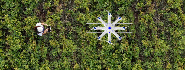 istock Young female farmer spraying her crops using a drone 1128101335