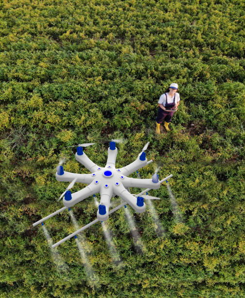 istock Young female farmer spraying her crops using a drone 1128101494