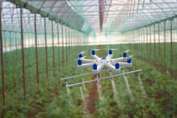 Drone spraying a field in greenhouse