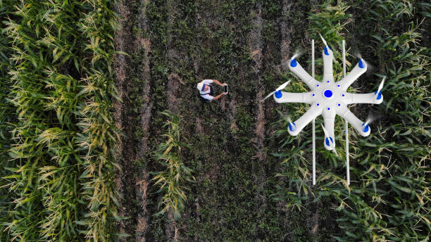 farmer spraying his crops using a drone - crop farm nature man made imagens e fotografias de stock