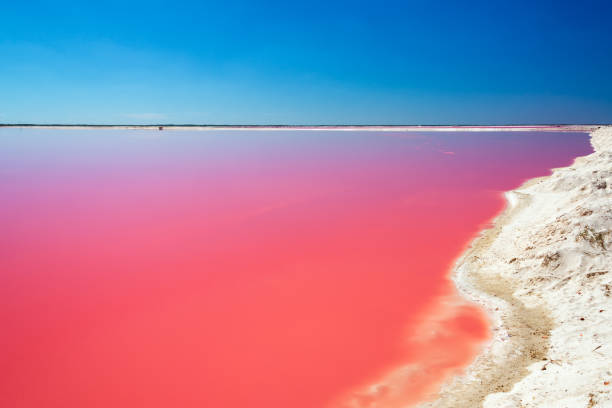 Red Lagoon for Salt Production Beautiful red pool used for producing salt in the small town of Las Coloradas near Rio Lagartos, Mexico lagoon stock pictures, royalty-free photos & images