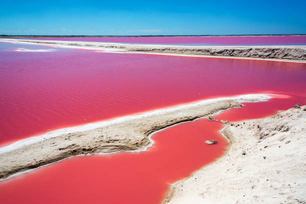 piscina rossa per la produzione di sale - salt pond foto e immagini stock