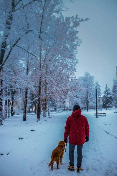 istock Friendship between pet owner and his dog 1128105741