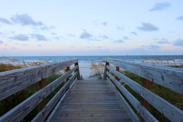istock Beautiful landscape with way to the ocean beach. 1128116431