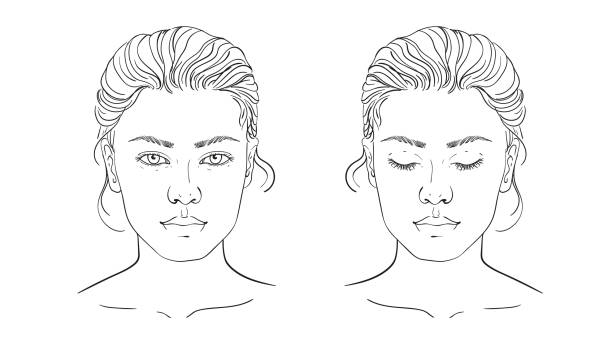 illustrazioni stock, clip art, cartoni animati e icone di tendenza di grafico facciale makeup artist blank. sagoma. illustrazione vettoriale. illustrazione su un contorno di sfondo bianco del viso femminile umano per il trucco. - beauty spa illustrations