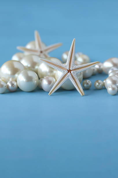 여름 이미지 (스타 물고기�와 진주) - pearl shell starfish beach 뉴스 사진 이미지