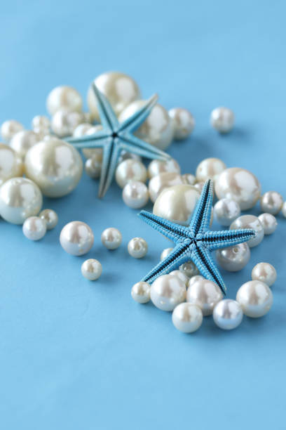 летние изображения (звездная рыб�а и жемчуг) - pearl shell starfish beach стоковые фото и изображения