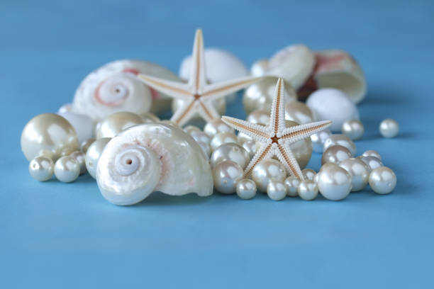 여름 이미지 (스타 물고기와 진주) - pearl shell starfish beach 뉴스 사진 �이미지