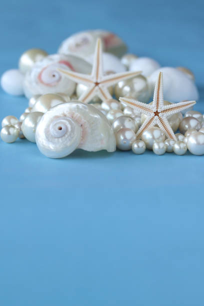 images de l’été (poisson étoiles et perle) - pearl shell starfish beach photos et images de collection