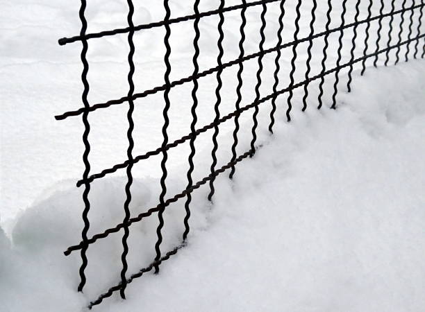 istock Metal mesh - mesh fence in the snow 1128121420