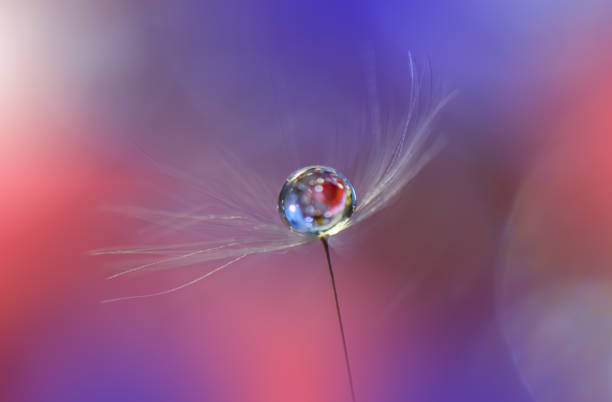 istock Beautiful spring nature blossom web banner or header. Blurred space for your text.Colorful Artistic Blue Background.Conceptual abstract image.Beautiful nature with dandelion flowers.Floral Fantasy Design. 1128122207