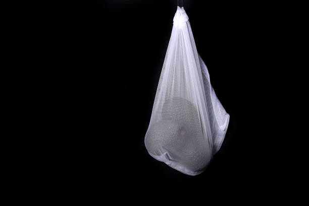 istock Avocado in a reusable fresh produce bags 1128134895