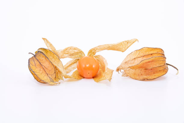 Fresh cape gooseberry. Delicious tropical fruit