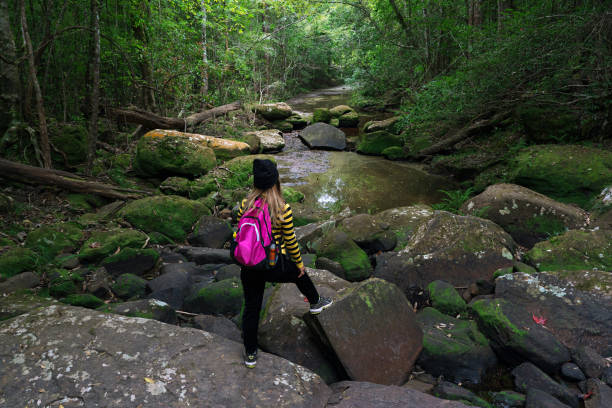 istock Asian woman with pink backpack looking at river in forest 1128146358