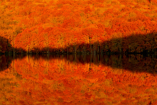 mirror image of fall colors