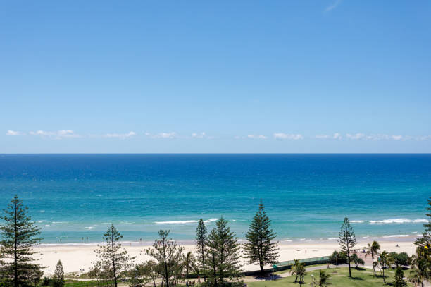 istock Burleigh Heads Parkland and Foreshore - Gold Coast Australia 1128150907