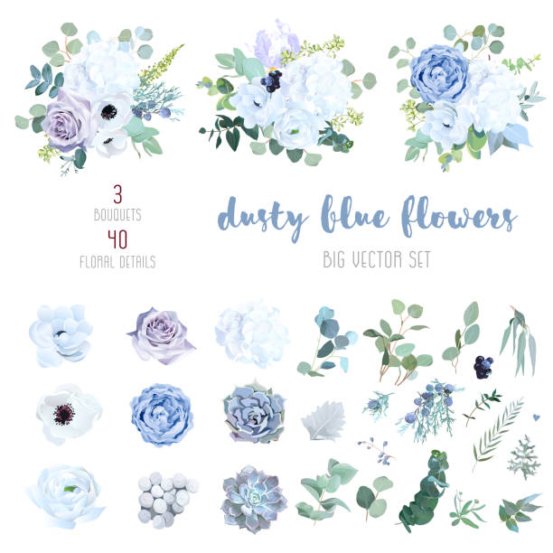 Dusty blue, pale purple rose, white hydrangea, ranunculus Dusty blue, pale purple rose, white hydrangea, ranunculus, iris, echeveria succulent, flowers,greenery and eucalyptus,berry, juniper big vector set.Trendy pastel color collection.Isolated and editable iris plant stock illustrations