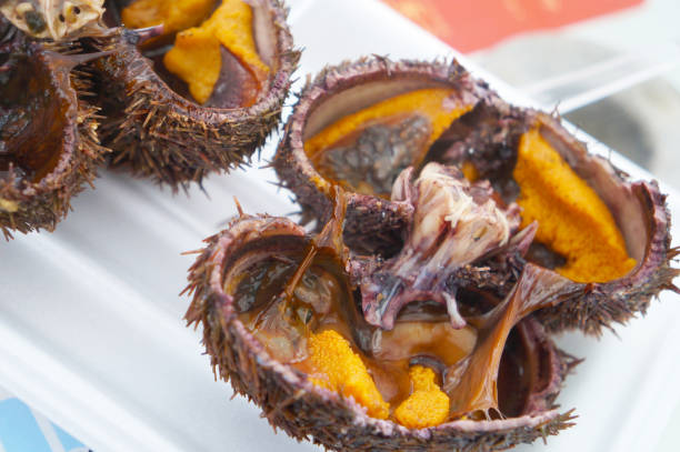 istock Grilled Bahun Uni in Hokkaido 1128152111