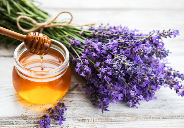 istock Jar with honey and fresh lavender 1128156297