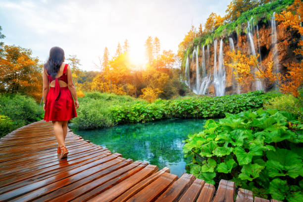 Woman traveler walking on wooden path trail with lakes and waterfall landscape in Plitvice Lakes National Park, UNESCO natural world heritage and famous travel destination of Croatia. Woman traveler walking on wooden path trail with lakes and waterfall landscape in Plitvice Lakes National Park, UNESCO natural world heritage and famous travel destination of Croatia. plitvice lakes national park stock pictures, royalty-free photos & images