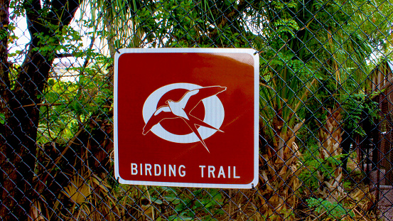 istock Brid Watching Trail Metal Sign 1128161000