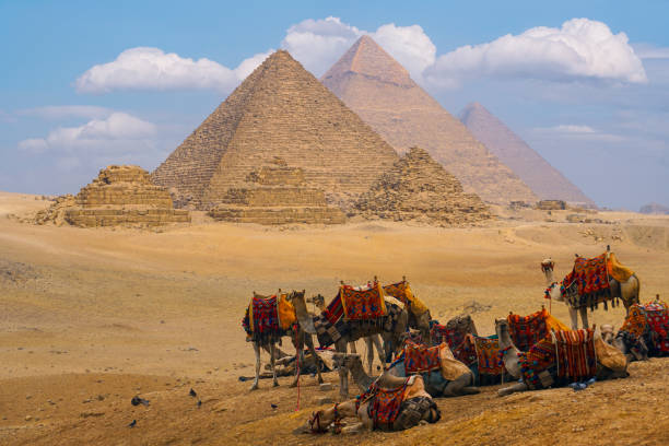 pyramides egypte - africa archaeology architecture bedouin photos et images de collection