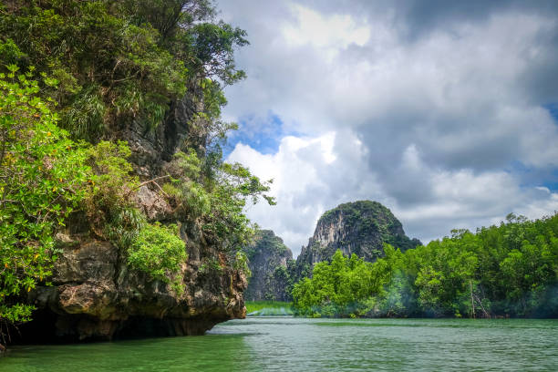 istock Mangrove and cliffs in Phang Nga Bay, Thailand 1128163648