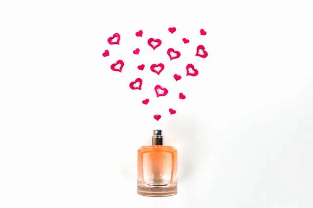 Valentine's day, choosing fragrance, pheromones.