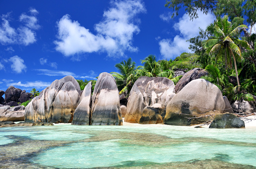 Rare shot and unique perspective of the famous Anse Source D'Argent, Seychelles. Nikon D3X. Polarizer! Great Detail and Quality. Lots of naturally grown palm trees! Probably the most idyllic beach in the world!