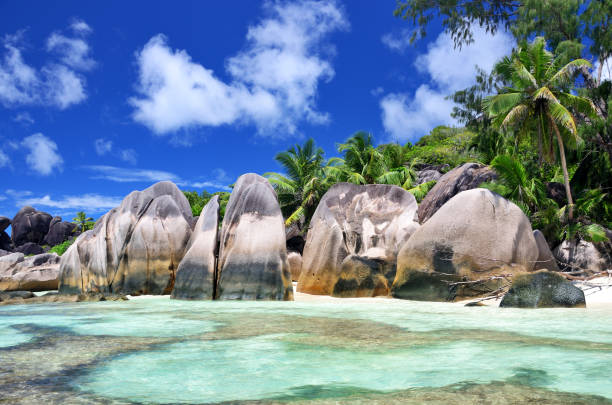 Anse Source D'Argent beach, Seychelles Seychelles is the most beautiful tropical islands of the world's in the Indian Ocean. Composite photo la digue island photos stock pictures, royalty-free photos & images