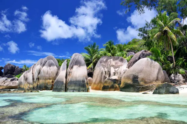 Seychelles is the most beautiful tropical islands of the world's in the Indian Ocean. Composite photo