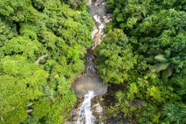 istock Aerial shot tropical forest and  Waterfall  south Thailand 1128177325
