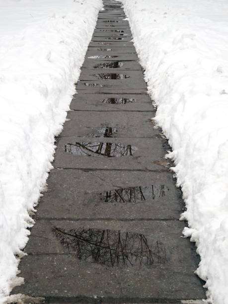 istock Path in the winter park in the city 1128181331