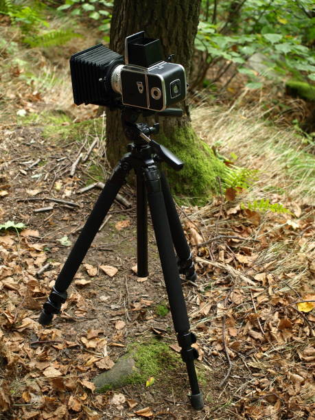 istock Black camera on a tripod in the forest 1128182106