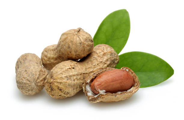 istock Peanuts and leaves isolated on white 1128184226