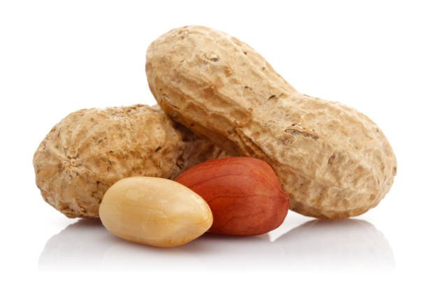 흰색 배경에 고립 된 땅콩 - peanut nut heap isolated 뉴스 사진 이미지