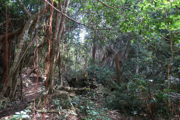 istock Kaohsiung national park 1128189128